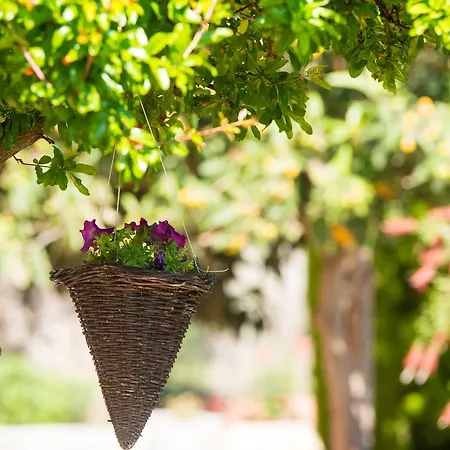 Mouses Thassos Limenas (Thasos)