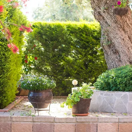 Mouses Thassos Limenas (Thasos)